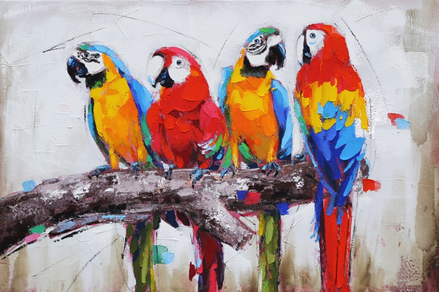 Macaws