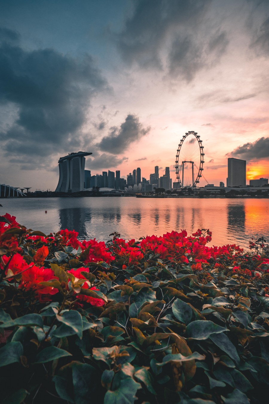 Singapore Skyline