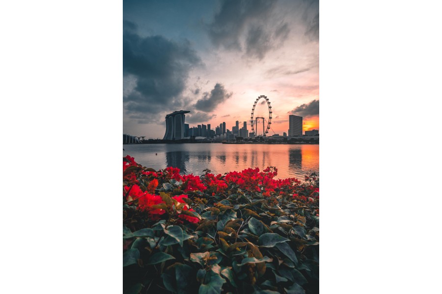 Singapore Skyline