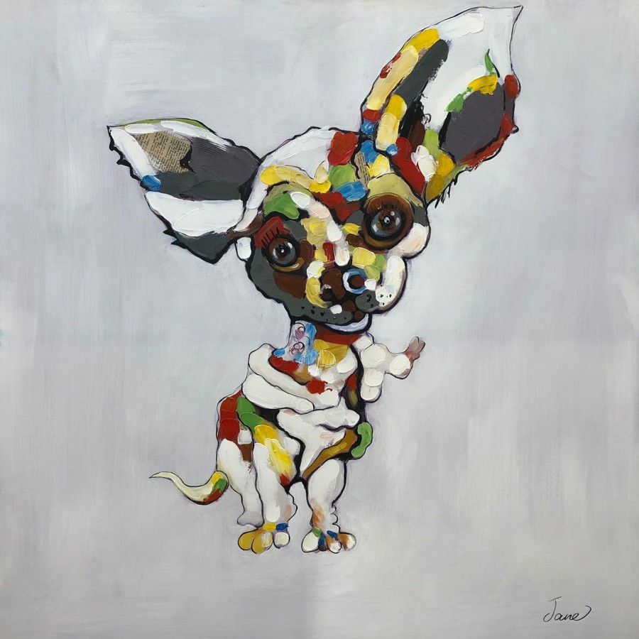 Rainbow Chihuahua II